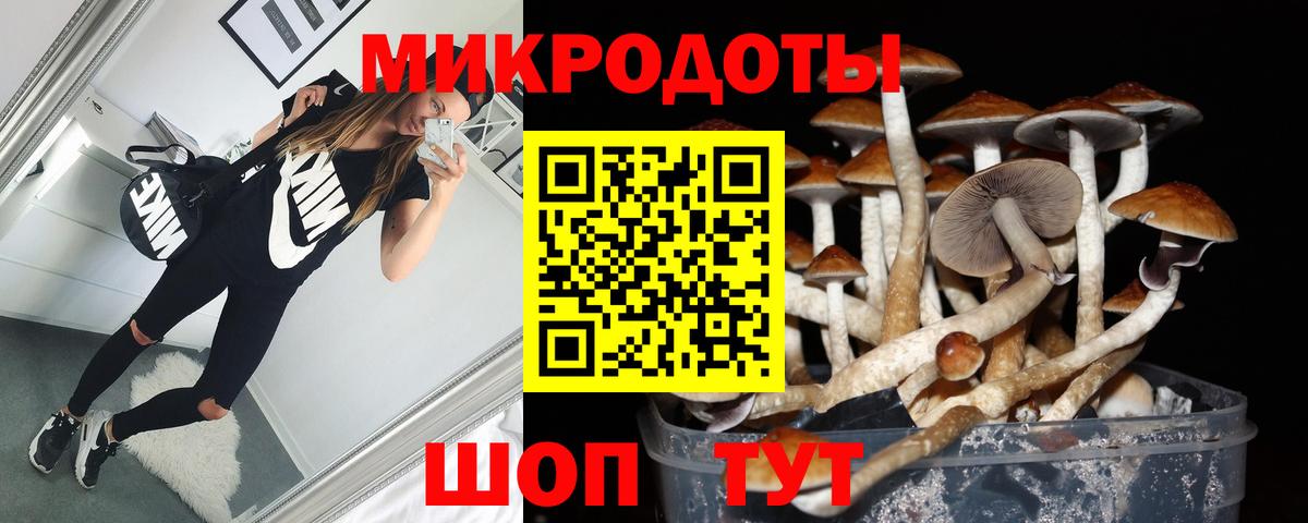 Псилоцибиновые грибы MAGIC MUSHROOMS  Вход с VPN  Тихорецк 