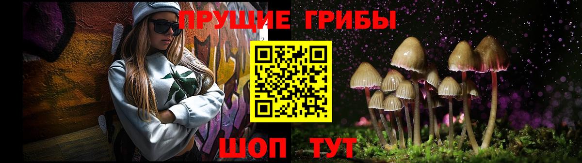 Галлюциногенные грибы прущие грибы Тихорецк